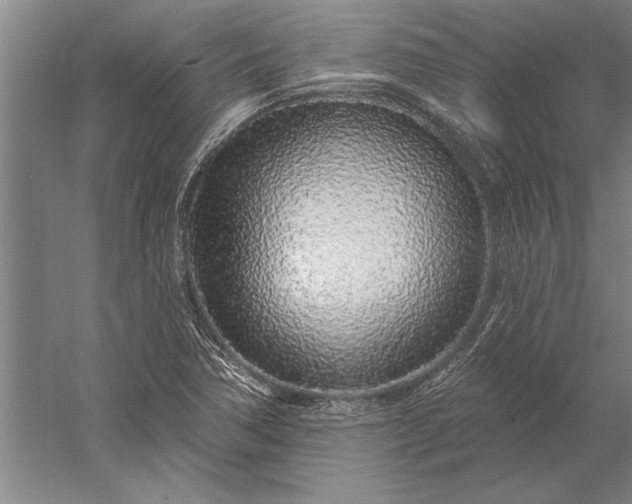 X0000056371362200509091638