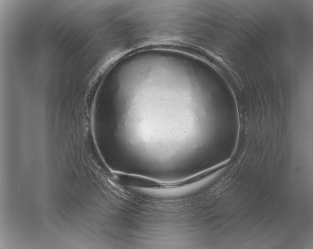 X0000056371363200509091638