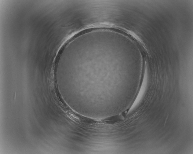 X0000056371364200509091638