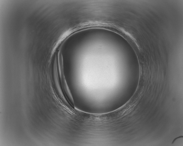 X0000056371365200509091638