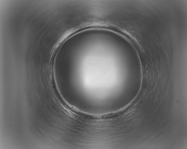 X0000056371367200509091638