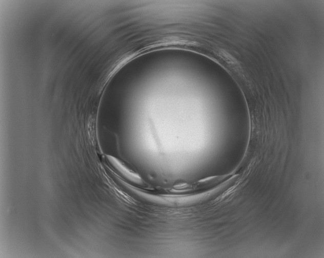 X0000056371369200509091638