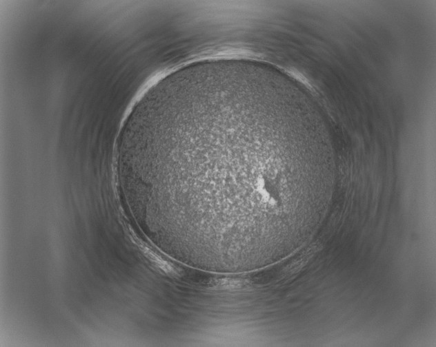 X0000056371374200509091638