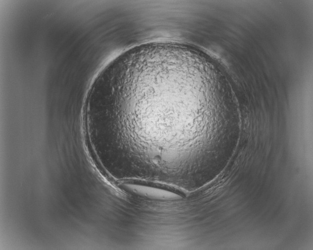 X0000056371375200509091638