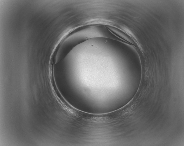 X0000056371376200509091637