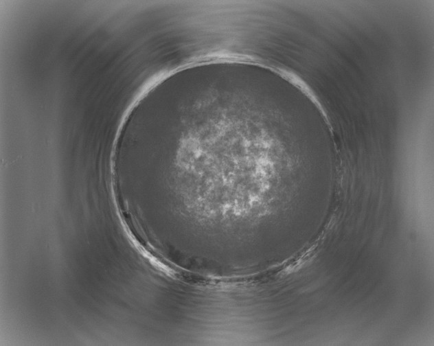 X0000056371381200509091637