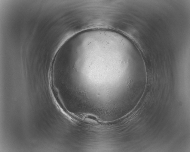 X0000056371383200509091637