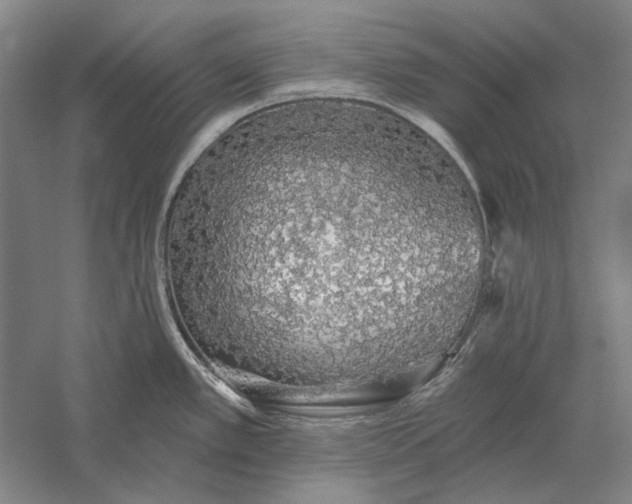 X0000056371389200509091637