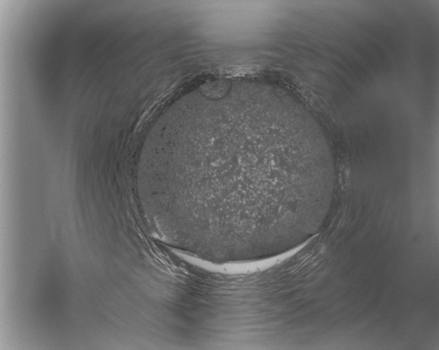 X0000056371393200509091636