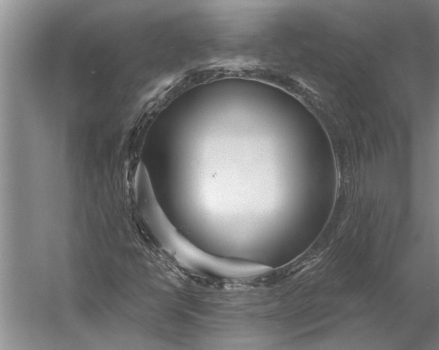 X0000056371398200509091636