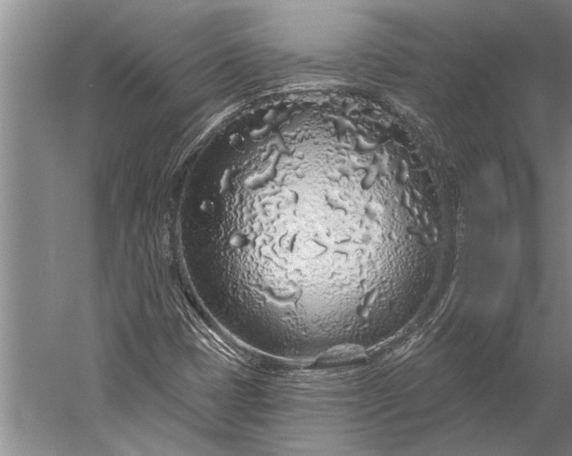 X0000056371401200509091637