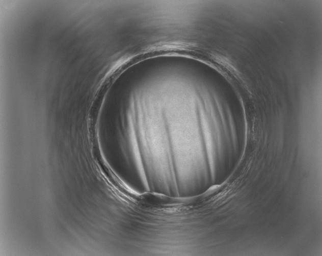 X0000056371404200509091637