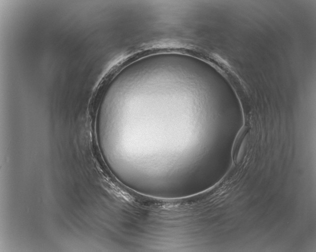 X0000056371408200509091637