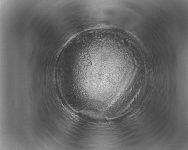 X0000056371409200509091637