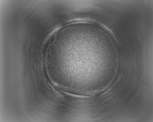 X0000056371411200509091637