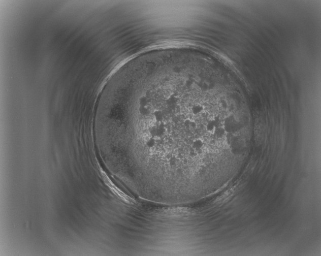 X0000056371417200509091637