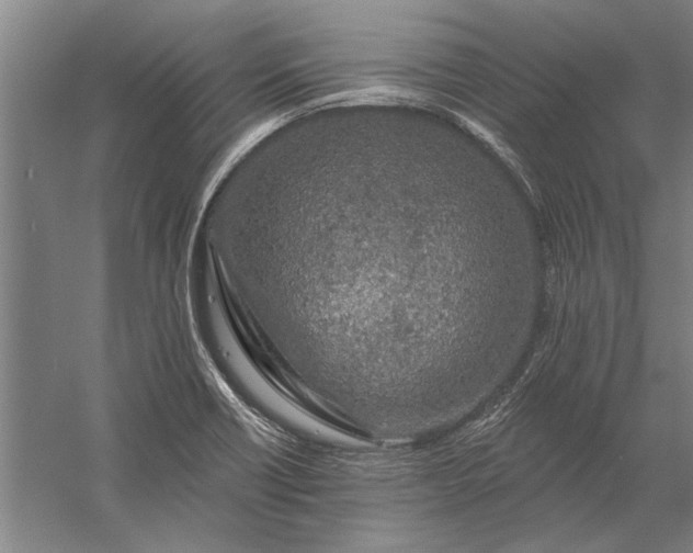 X0000056371418200509091637