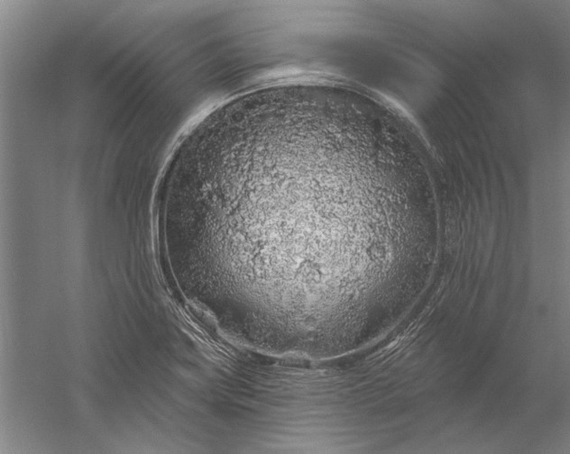 X0000056371419200509091637