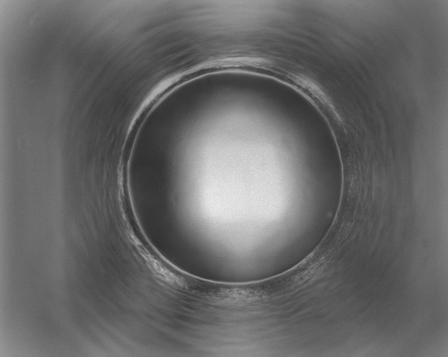 X0000056371420200509091637