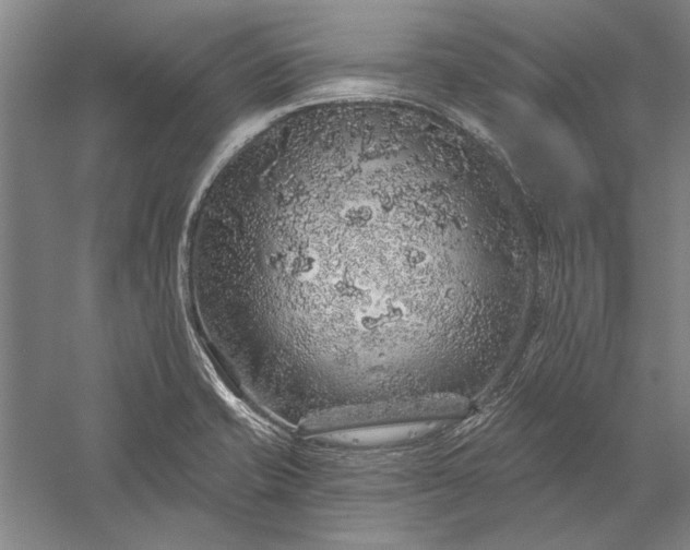 X0000056371421200509091637