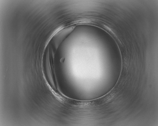 X0000056371426200509091637