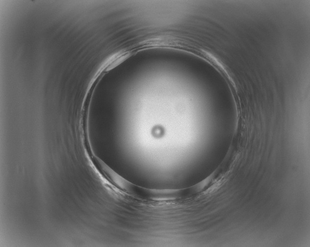 X0000056371434200509091637