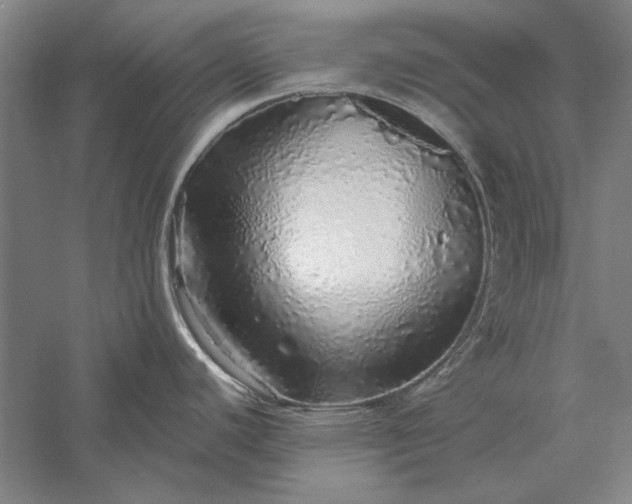 X0000056371440200509091637