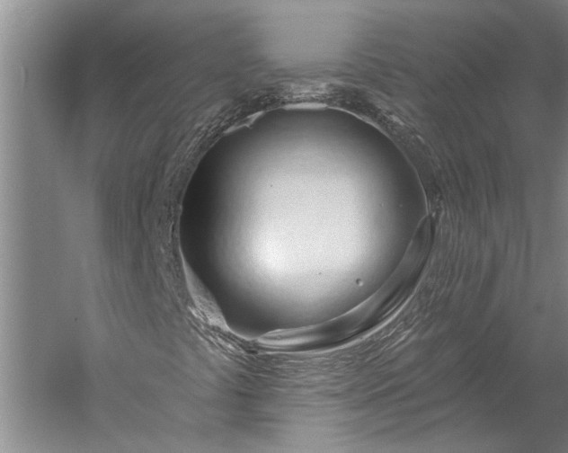 X0000056371441200509091636