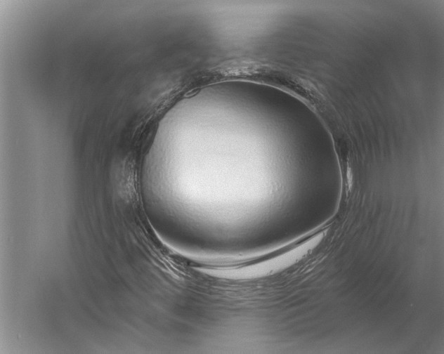 X0000056371444200509091636