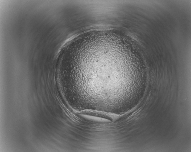 X0000056371451200509091636