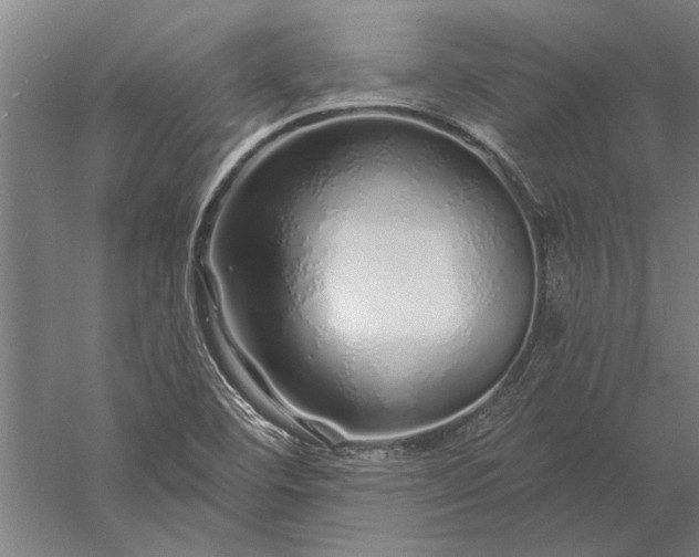 X0000056371460200509091636