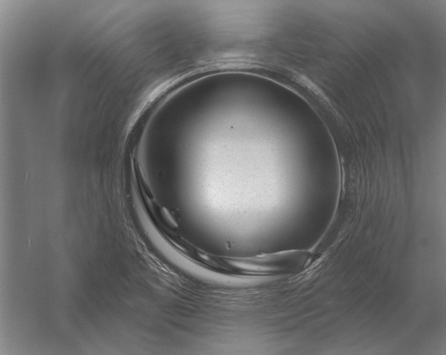 X0000056371461200509091636