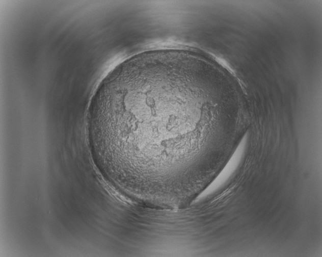 X0000056371463200509091636