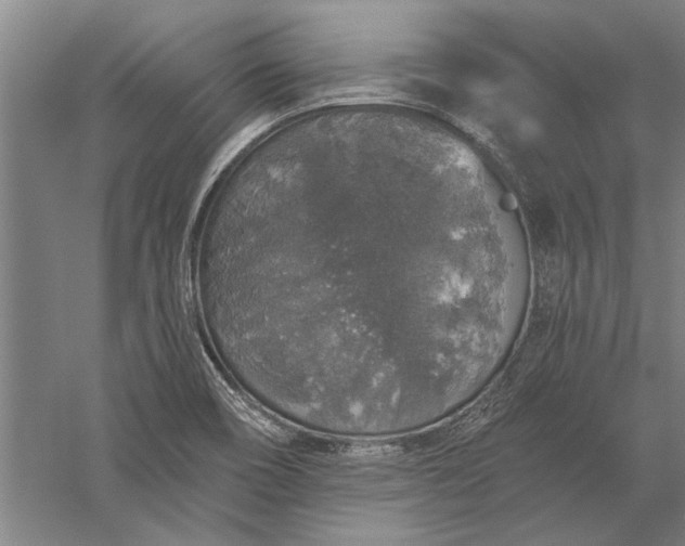 X0000056371466200509091636