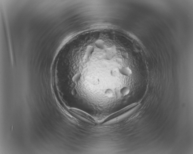 X0000056371467200509091636