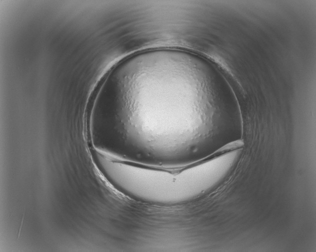 X0000056371468200509091636