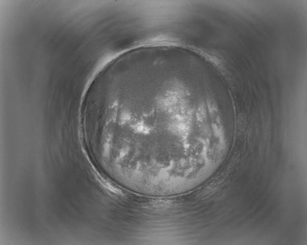 X0000056371470200509091636