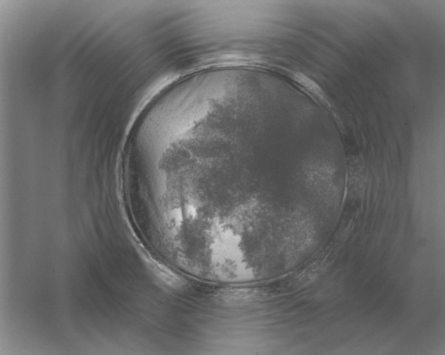 X0000056371474200509091636