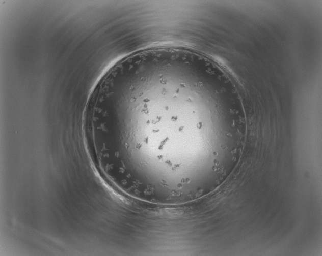 X0000056371476200509091636