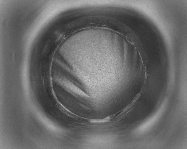 X0000056371487200509091636