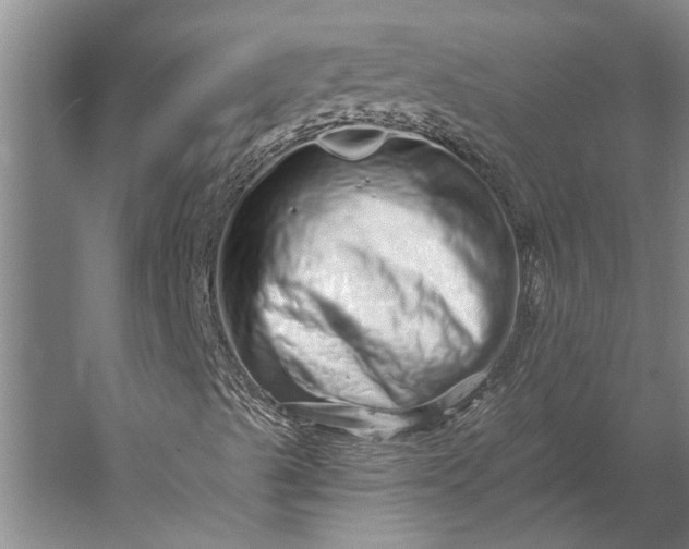 X0000056371489200509091635