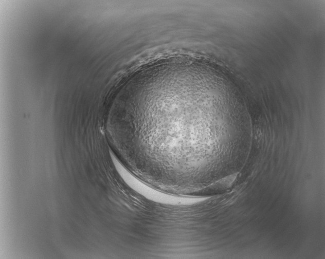 X0000056371490200509091635