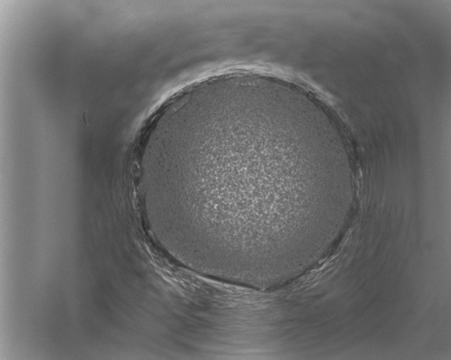 X0000056371496200509091635