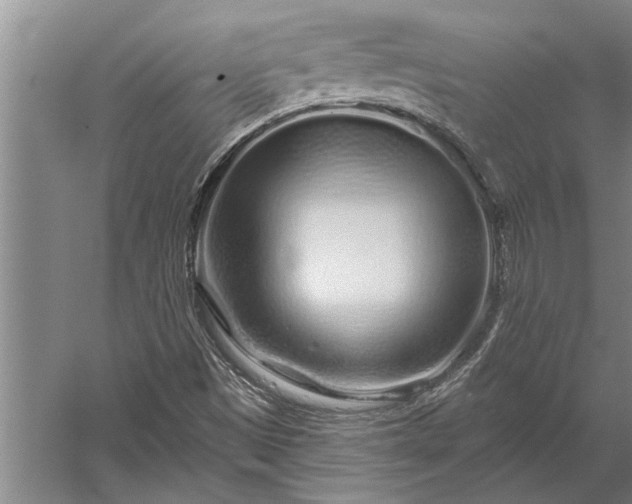 X0000056371497200509091635