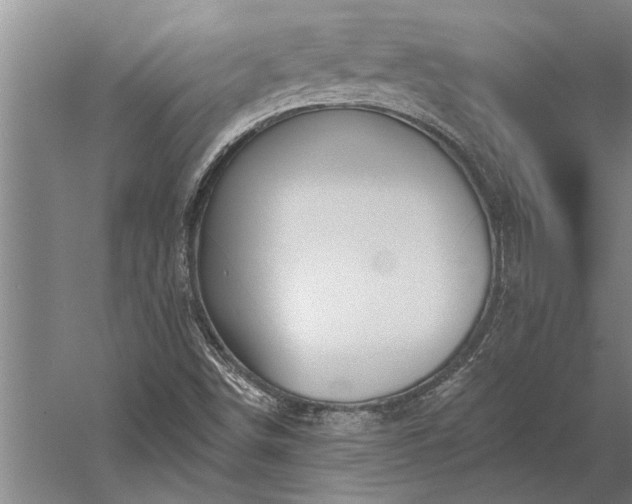 X0000056371498200509091635