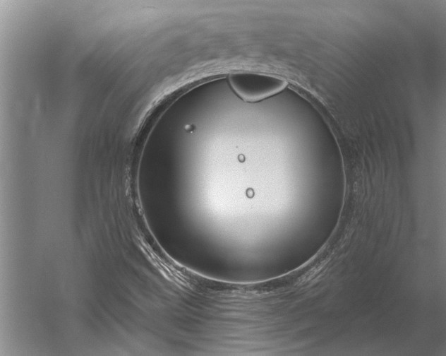 X0000056371499200509091635