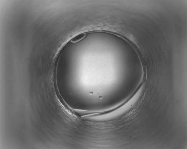 X0000056371500200509091635