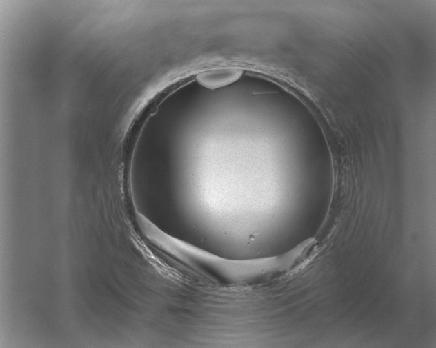 X0000056371503200509091635