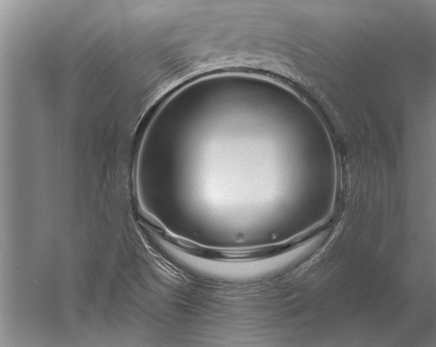 X0000056371505200509091635