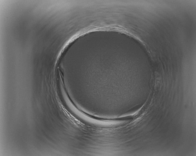 X0000056371506200509091635